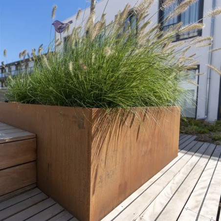 CUBO avec fond en acier corten